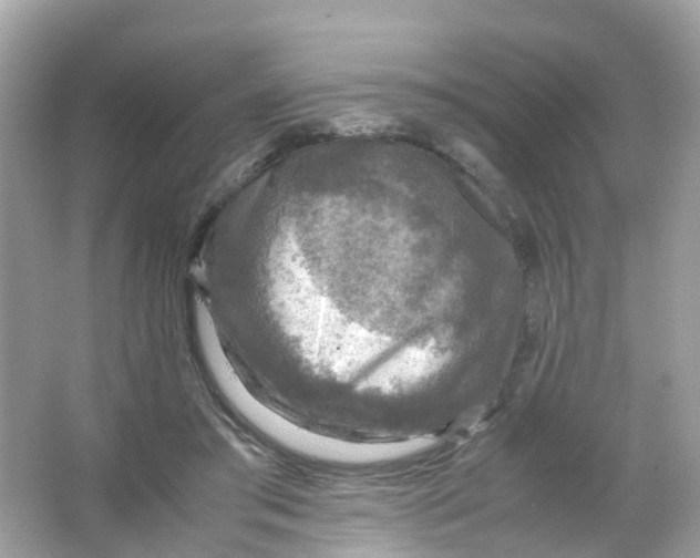 X0000065980405200603241945