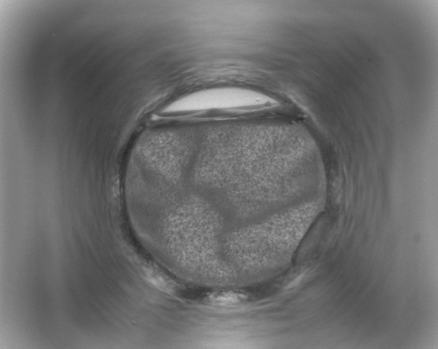 X0000065980407200603241945