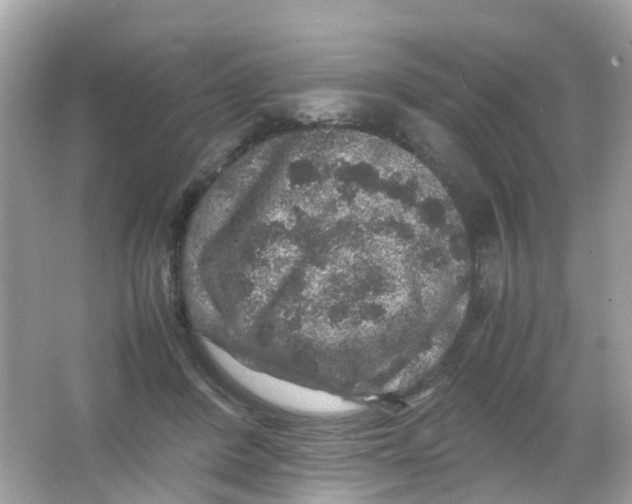 X0000065980408200603241945