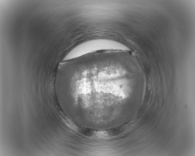 X0000065980409200603241945