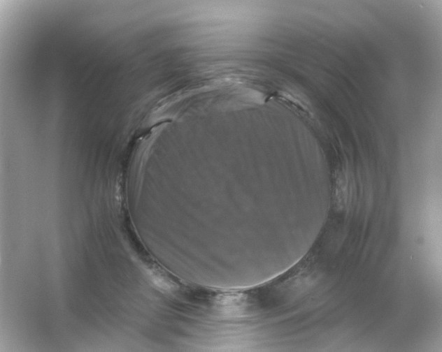 X0000065980410200603241944