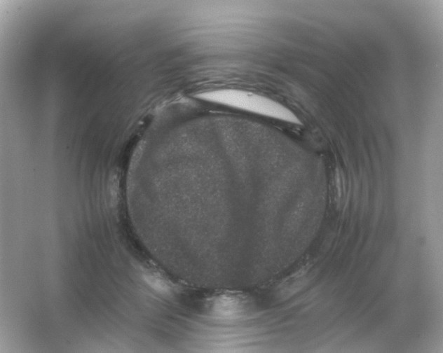 X0000065980412200603241944