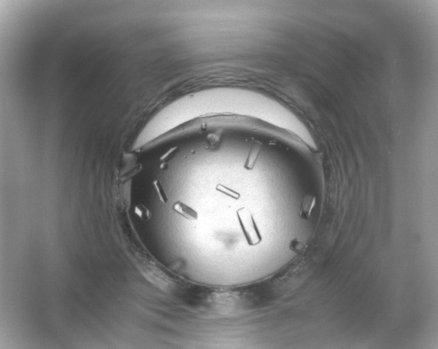 X0000065980413200603241944