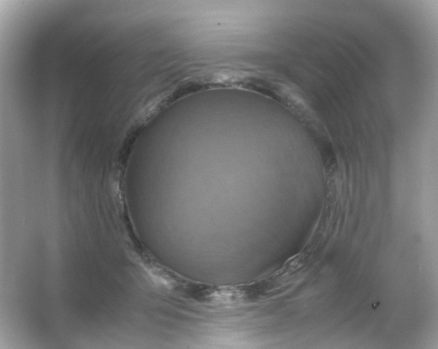 X0000065980415200603241944