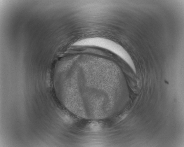 X0000065980416200603241944