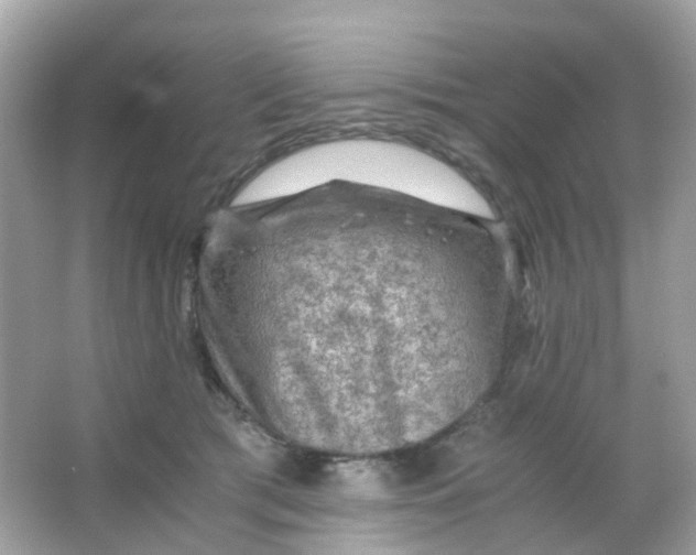 X0000065980417200603241944