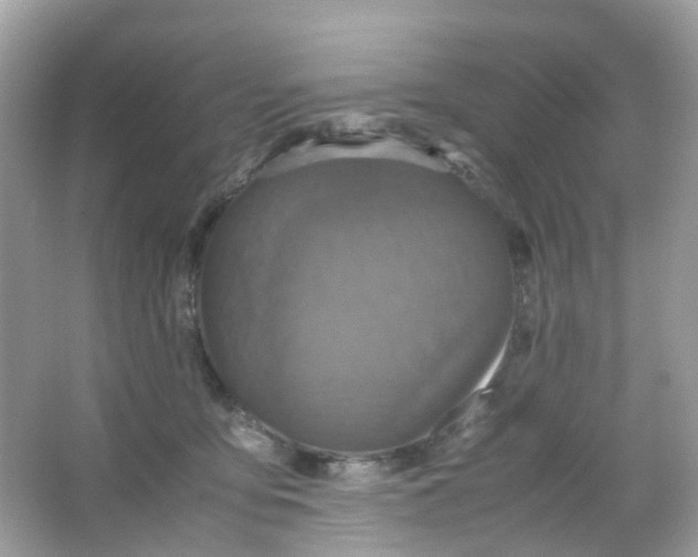 X0000065980419200603241944