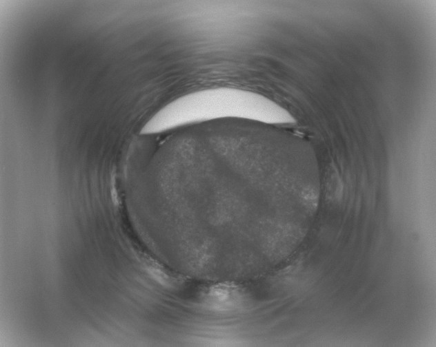 X0000065980420200603241944