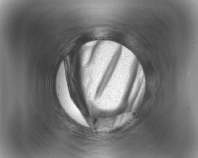 X0000065980421200603241944