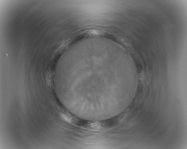 X0000065980423200603241944