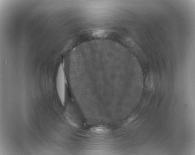 X0000065980424200603241944