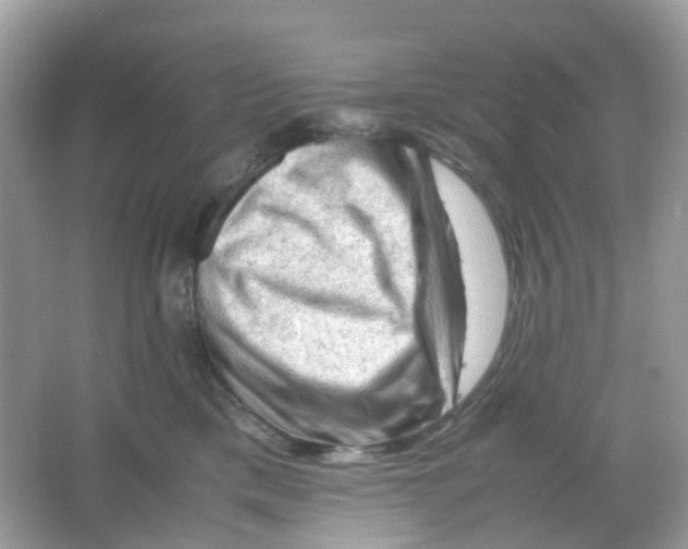 X0000065980425200603241944