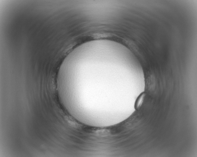 X0000065980426200603241944