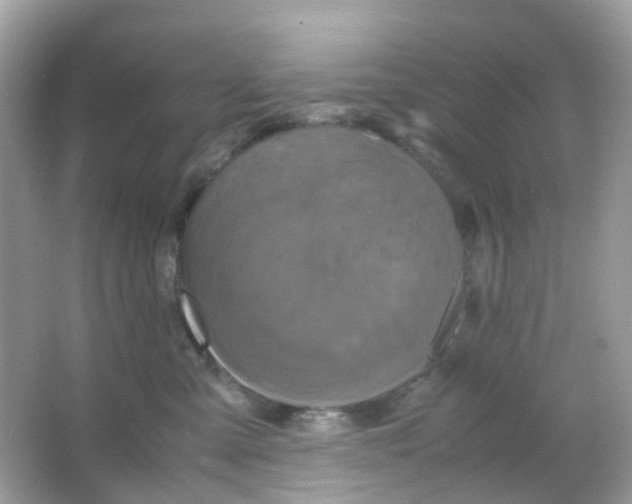 X0000065980427200603241944