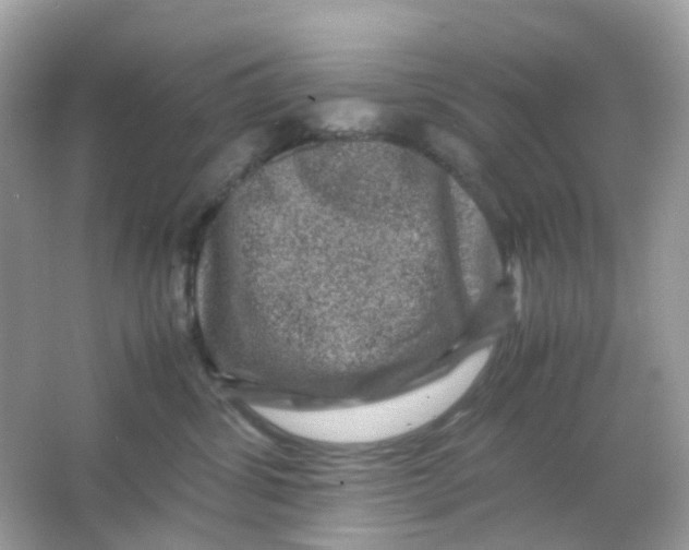 X0000065980428200603241944