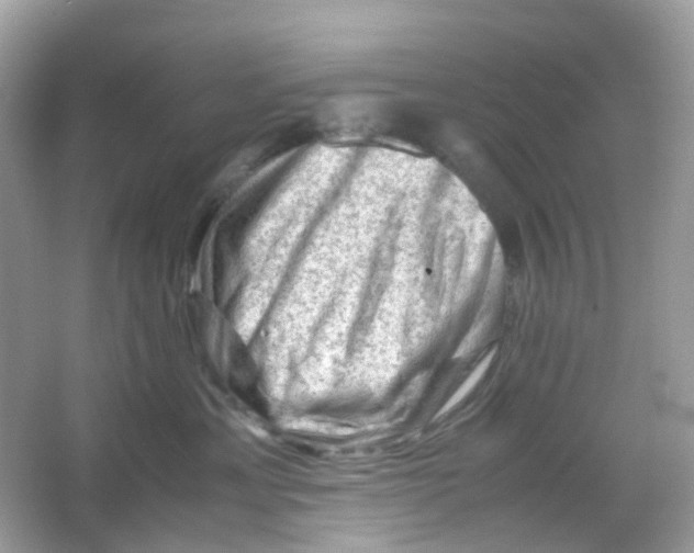 X0000065980429200603241944