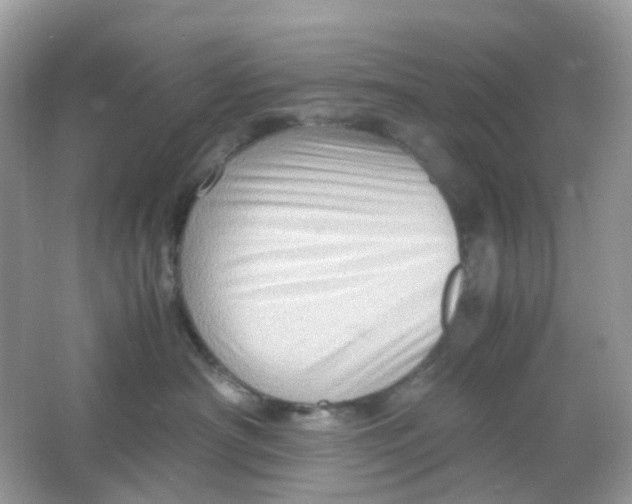 X0000065980430200603241944