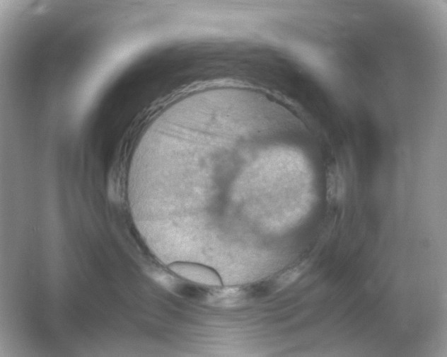 X0000065980431200603241944