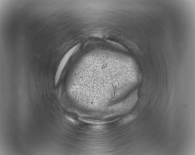 X0000065980432200603241944