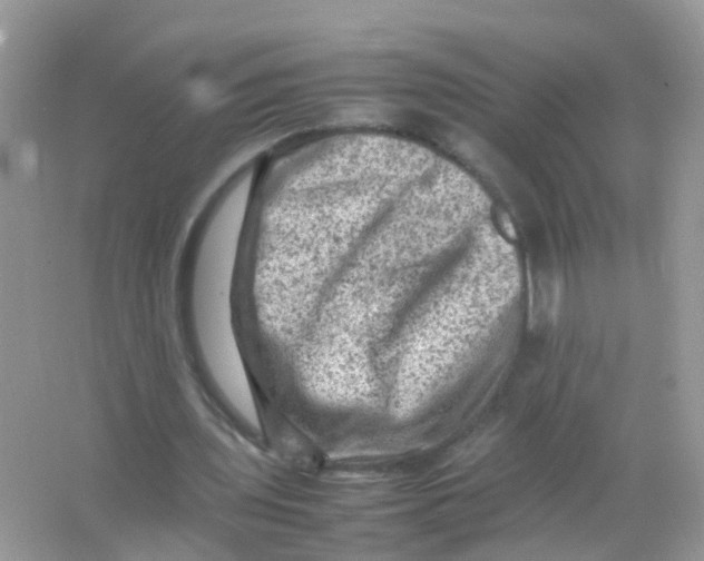 X0000065980435200603241943