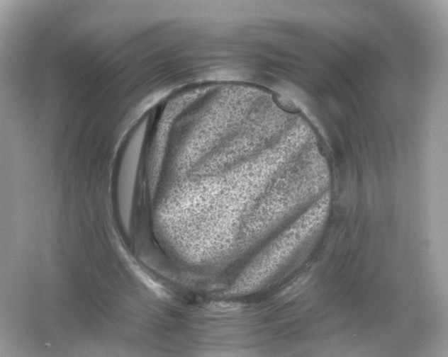 X0000065980437200603241943