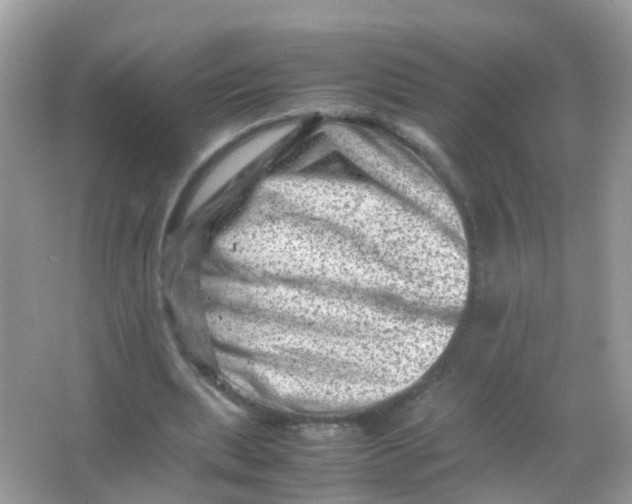 X0000065980439200603241943