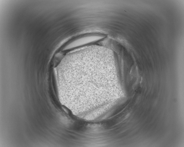 X0000065980440200603241943