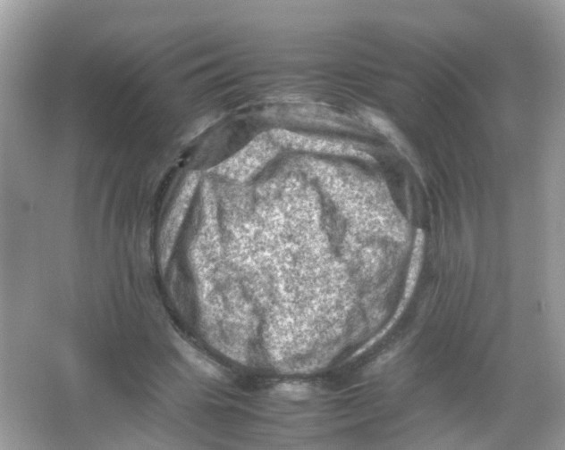 X0000065980441200603241943