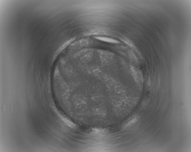 X0000065980442200603241943