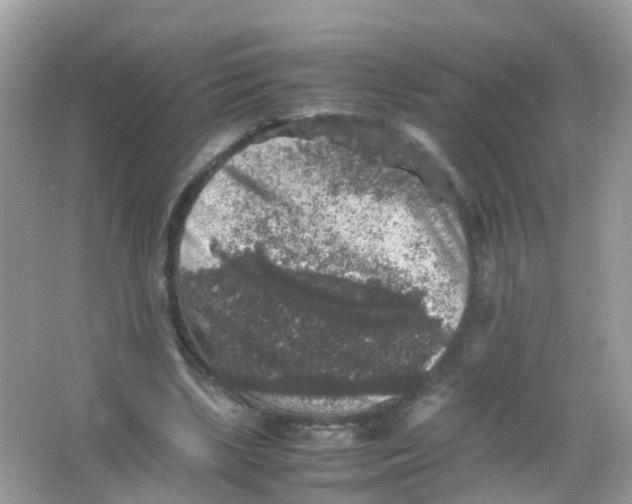 X0000065980443200603241943