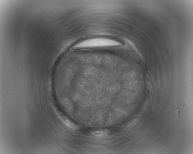 X0000065980447200603241944