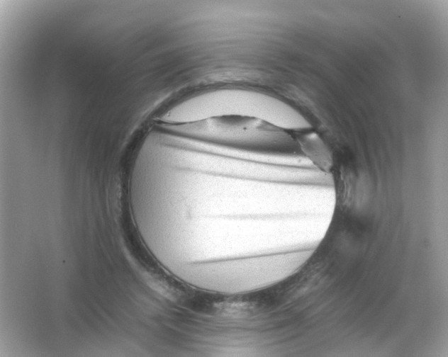 X0000065980448200603241944