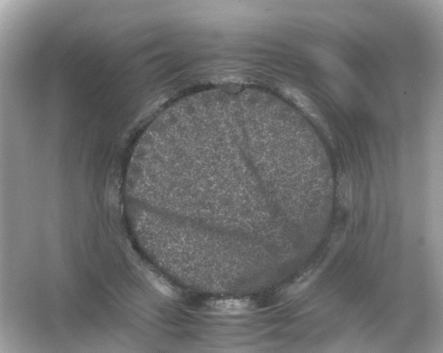 X0000065980449200603241944