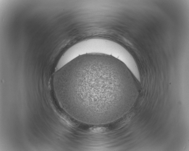 X0000065980452200603241944