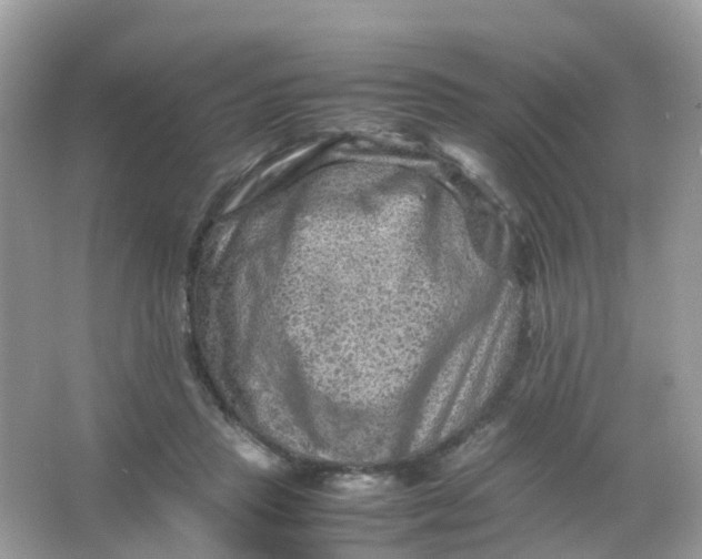 X0000065980453200603241944