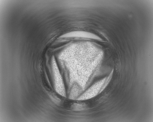 X0000065980455200603241944