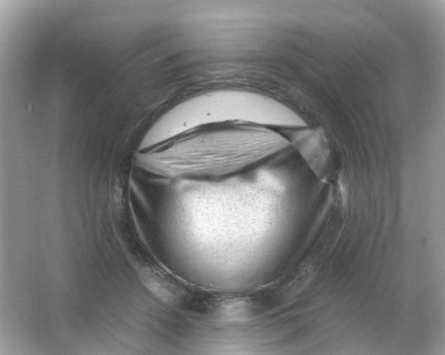 X0000065980456200603241944