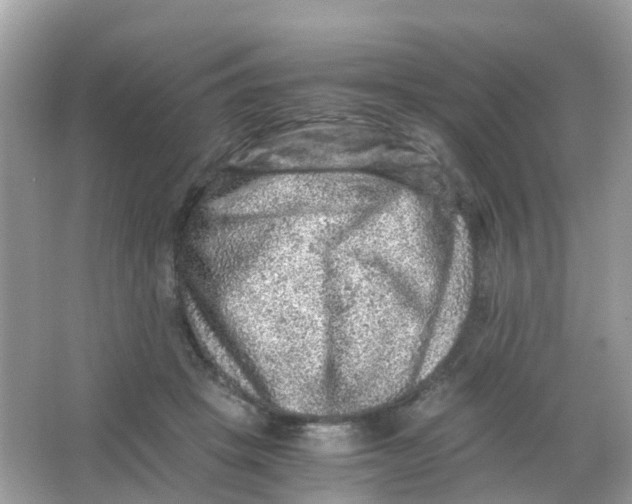 X0000065980457200603241944