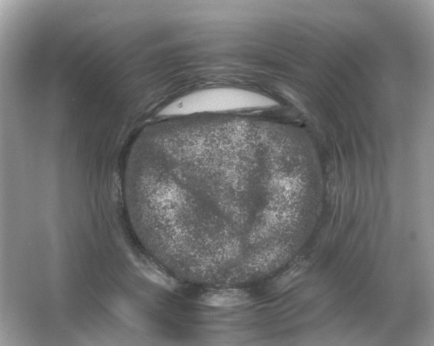 X0000065980459200603241944