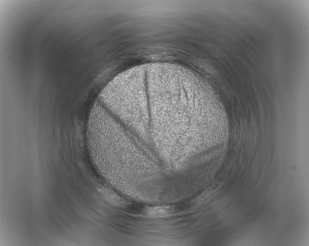 X0000065980461200603241944