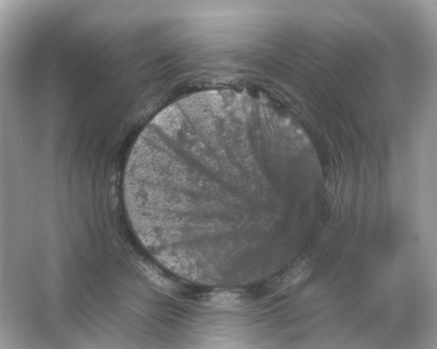 X0000065980462200603241944