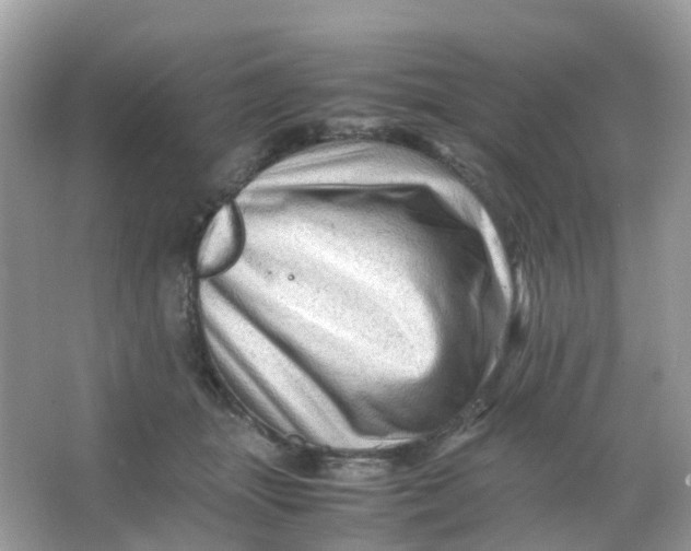 X0000065980463200603241944