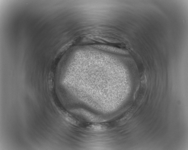 X0000065980464200603241944