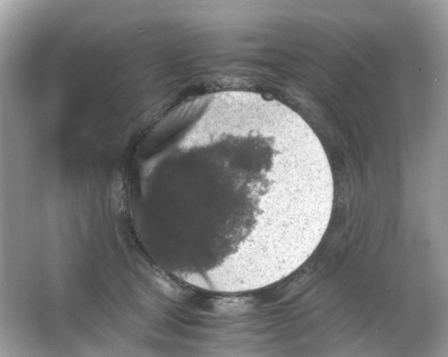 X0000065980465200603241944