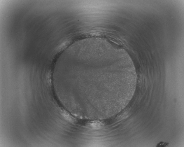 X0000065980466200603241944