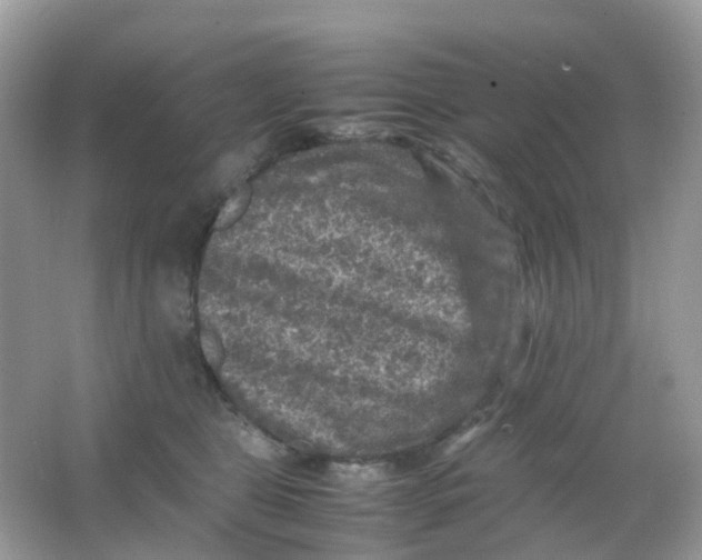 X0000065980469200603241944