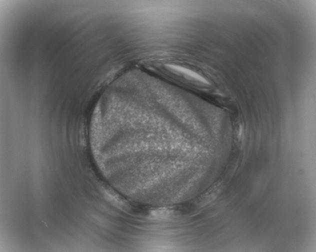 X0000065980470200603241944