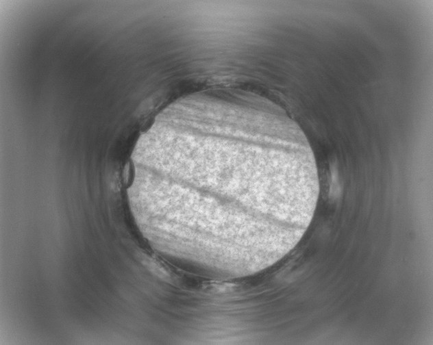 X0000065980472200603241944