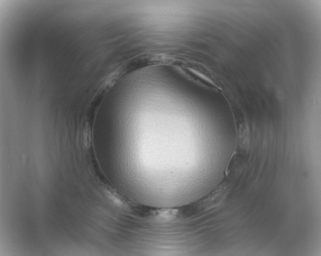 X0000065980474200603241944