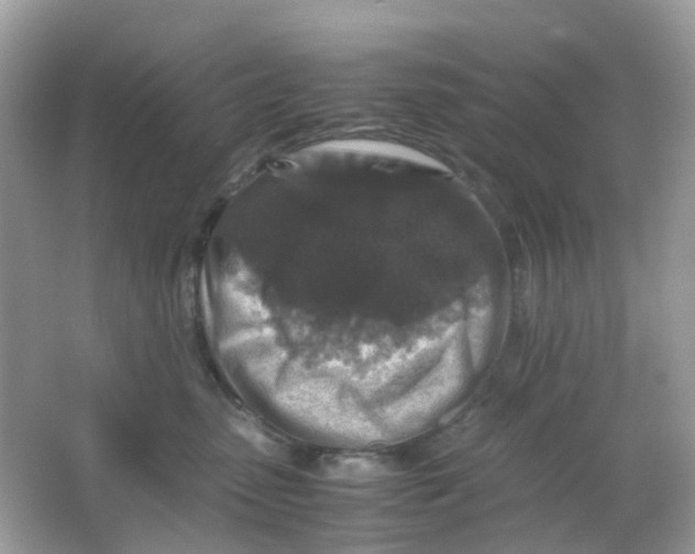 X0000065980475200603241944